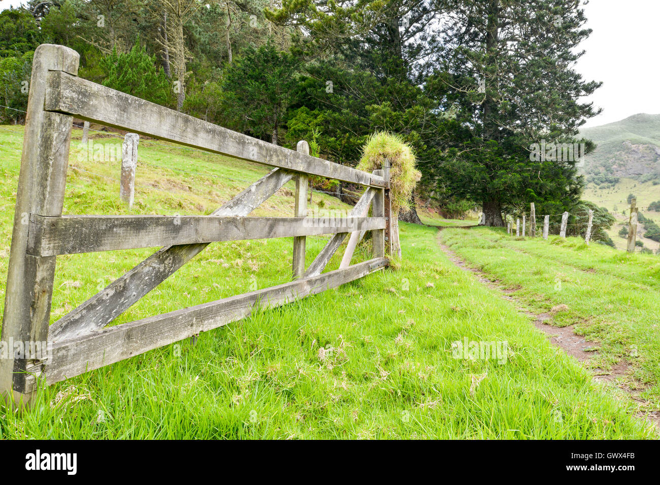 St Helena south Atlantic ocean countryside view with farm gate in foreground near fairyland in the south of St Helena island Stock Photo