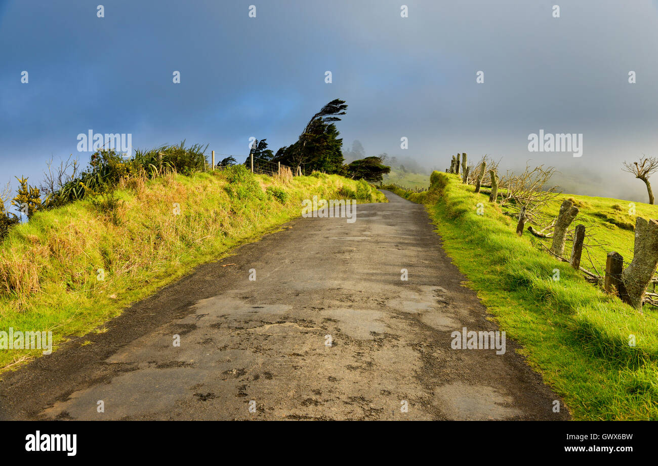 St Helena South Atlantic view of typical road and the mist which forms when the southern trade winds blow Stock Photo
