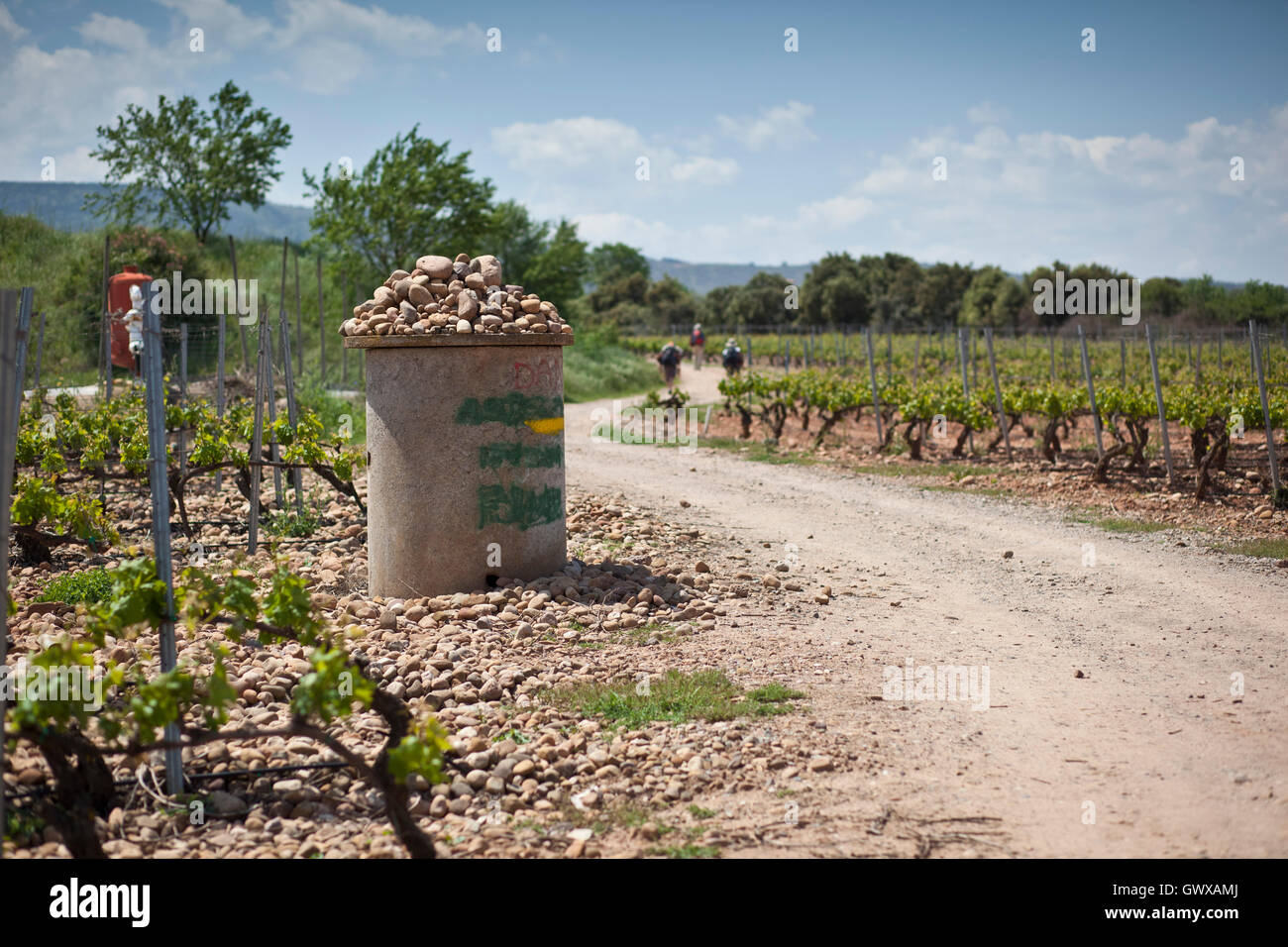 Stone marker in vineyard along the Camino de Santiago, route Frances Stock Photo