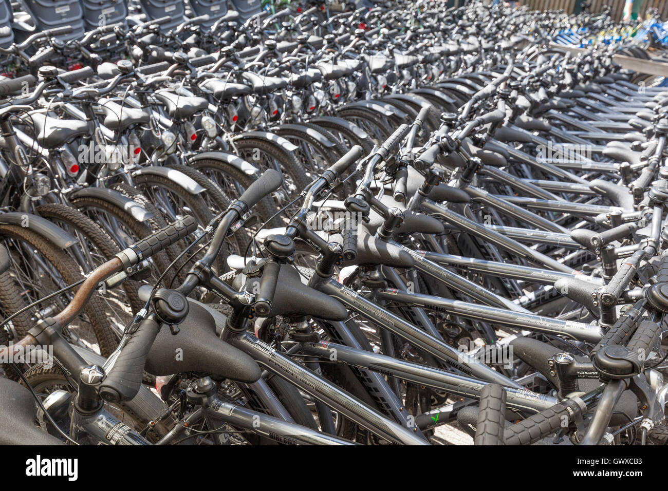 Centre Parcs Sherwood Forest, Nottingham, England, September 4th 2016: Many bikes at the cycle centre at Centre Parcs Sherwood F Stock Photo