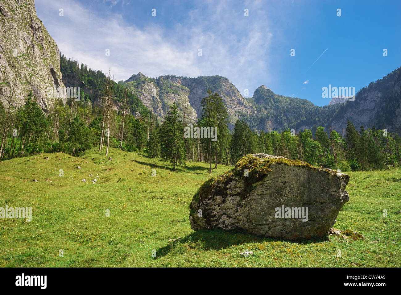 Scenic alpine landscape with mountains, forest and large stone in front Stock Photo