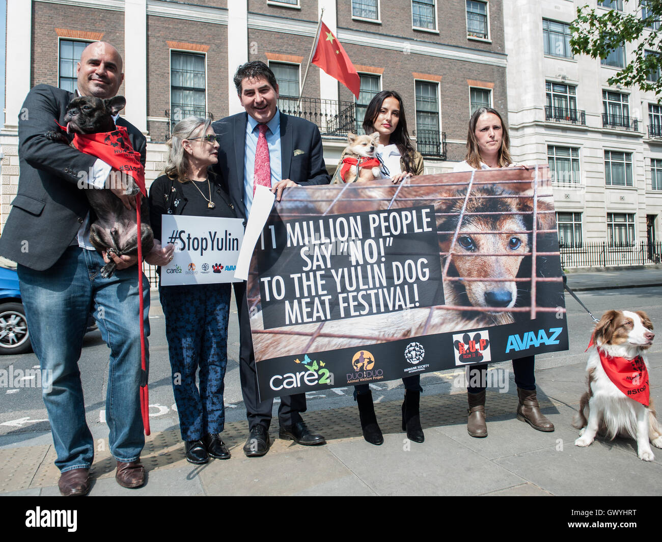 Actress Carrie Fisher who plays Princess Lea in the Star Wars movies joins activists to protest against the Chinese Yulin Dog Meat Festival. Protesters gathered at the Chinese Embassy in London and an attempt was made to hand in an a 11 million signature Stock Photo