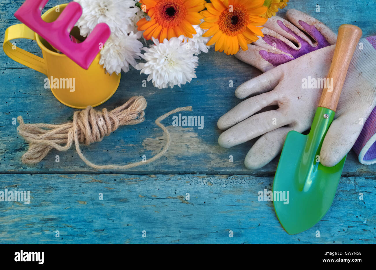 flowers and colorful gardening tools blue plank background Stock Photo