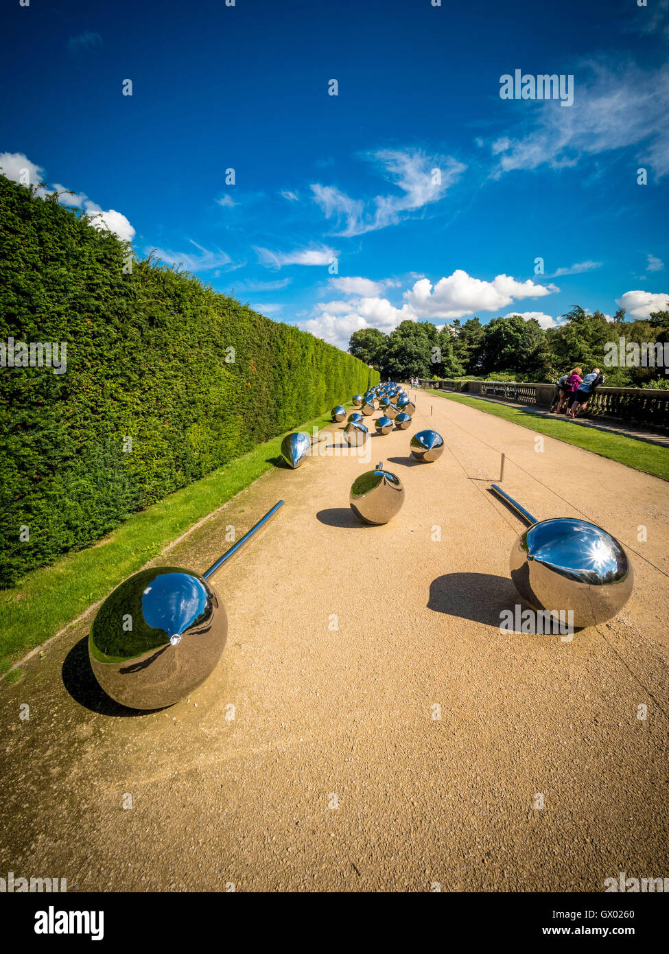 Let 100 flowers bloom hires stock photography and images Alamy