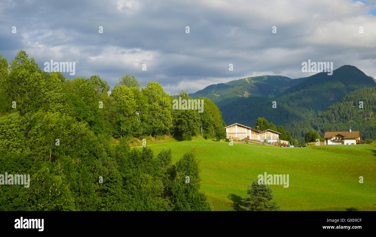 landscape of the Alps in Italy summer Stock Photo - Alamy