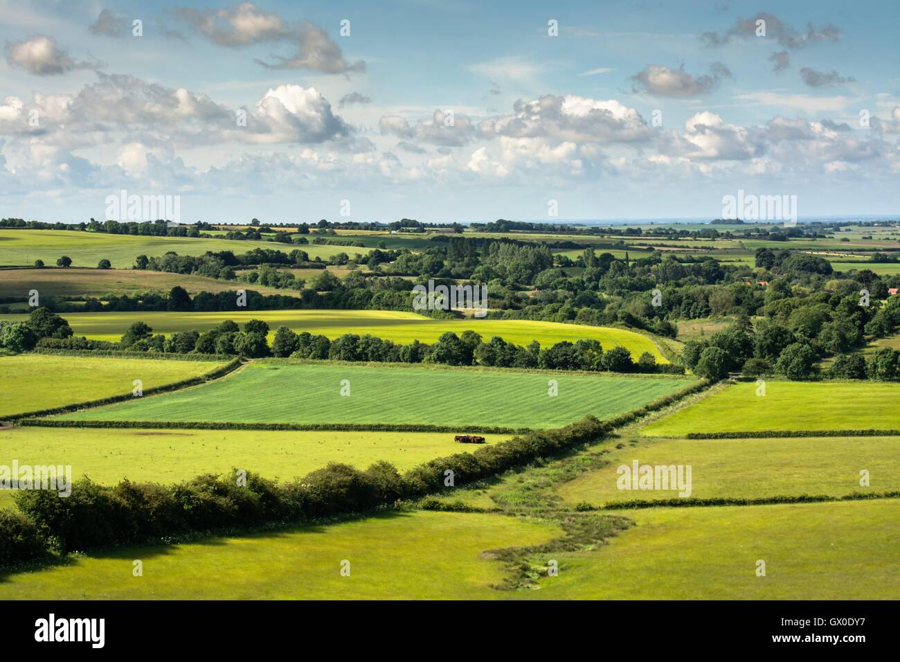 The Lincolnshire Wolds Stock Photo Alamy