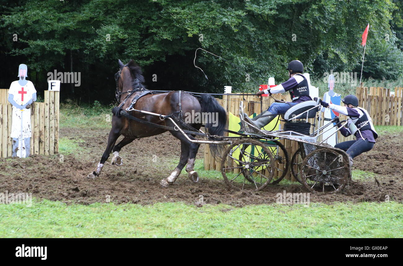 Single horse carriage competing in marathon Stock Photo