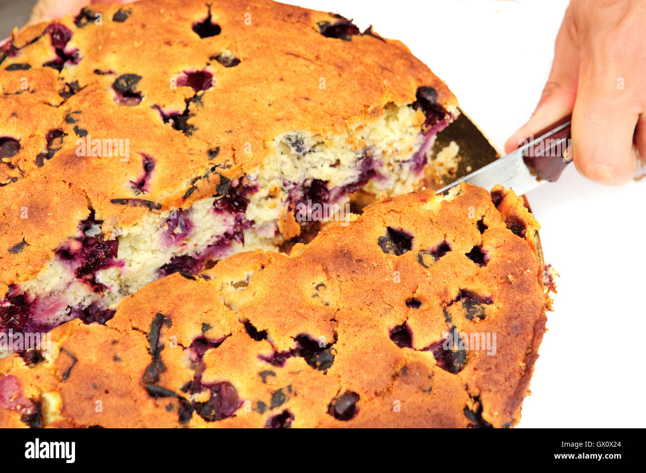 Italy, Lombardy, Crema, Festival of the Torta Bertolina typical Autumn Pie  from Crema, Filled with Black Grapes Stock Photo - Alamy