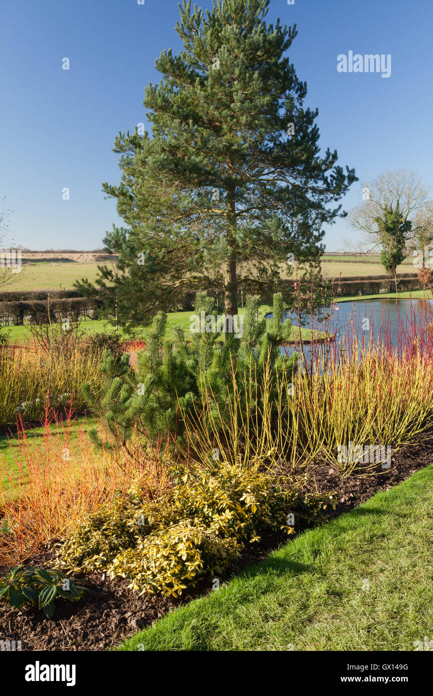 Pond and Winter Garden. Brightwater Gardens, Saxby, Lincolnshire, UK. Winter, February 2016. Stock Photo