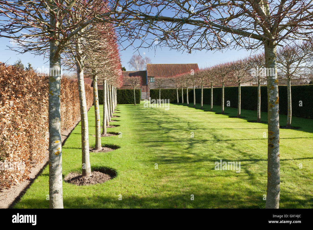 Cathedral garden. Brightwater Gardens, Saxby, Lincolnshire, UK. Winter, February 2016. Stock Photo