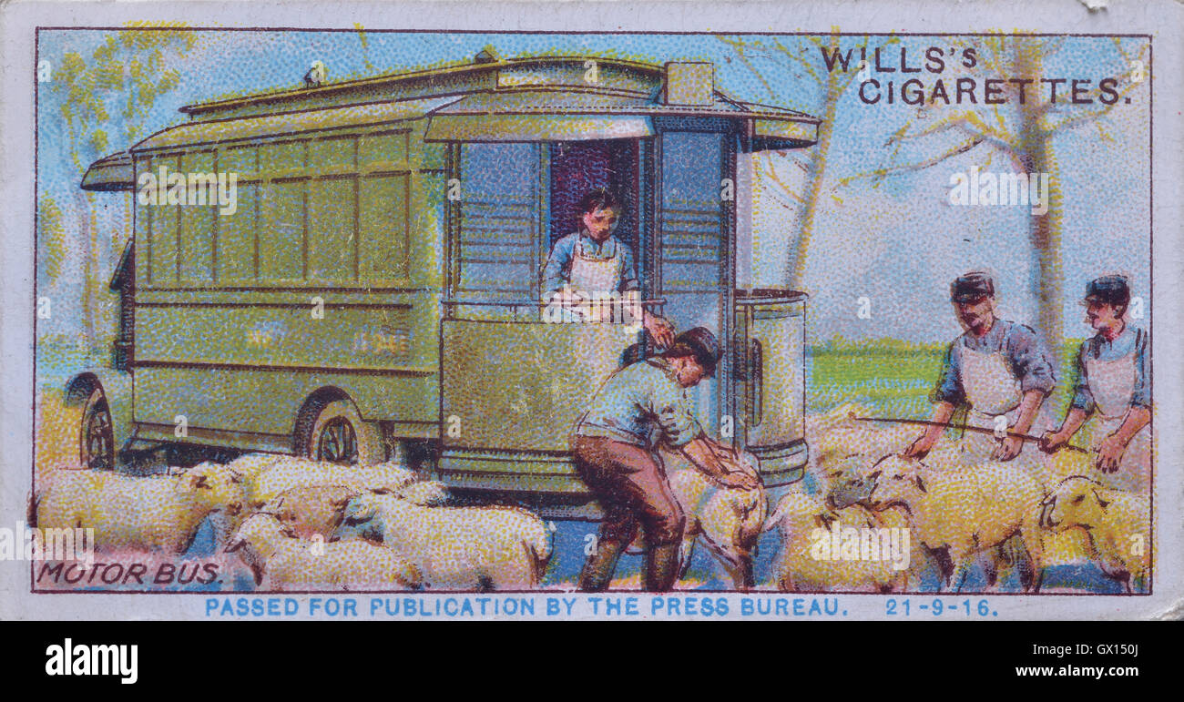 Will's cigarette card of a French motor bus used for transporting sheep to the front line Stock Photo