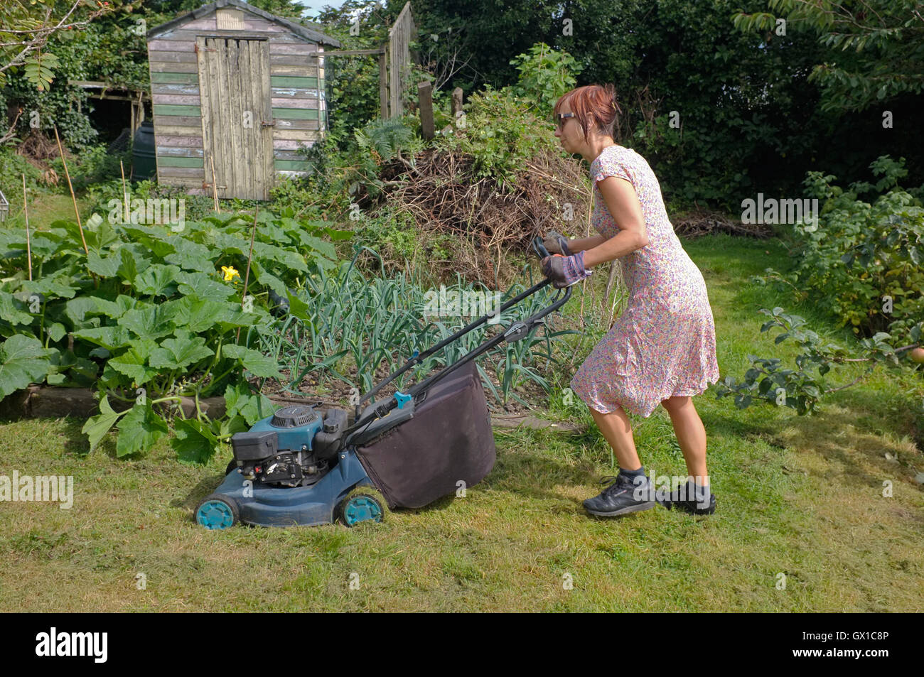 A woman mowing the lawn Stock Photo
