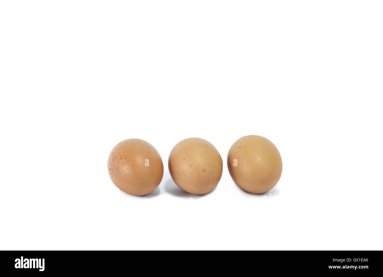 Separate egg white background. Stock Photo