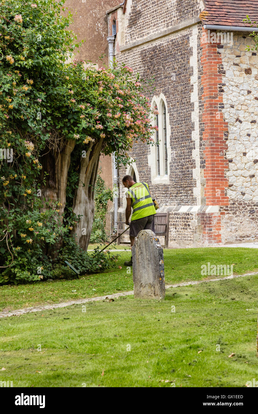 Gardeners from a firm called PJ Grace, strim the churchyard of St Mary's  Selborne, Hampshire, UK Stock Photo