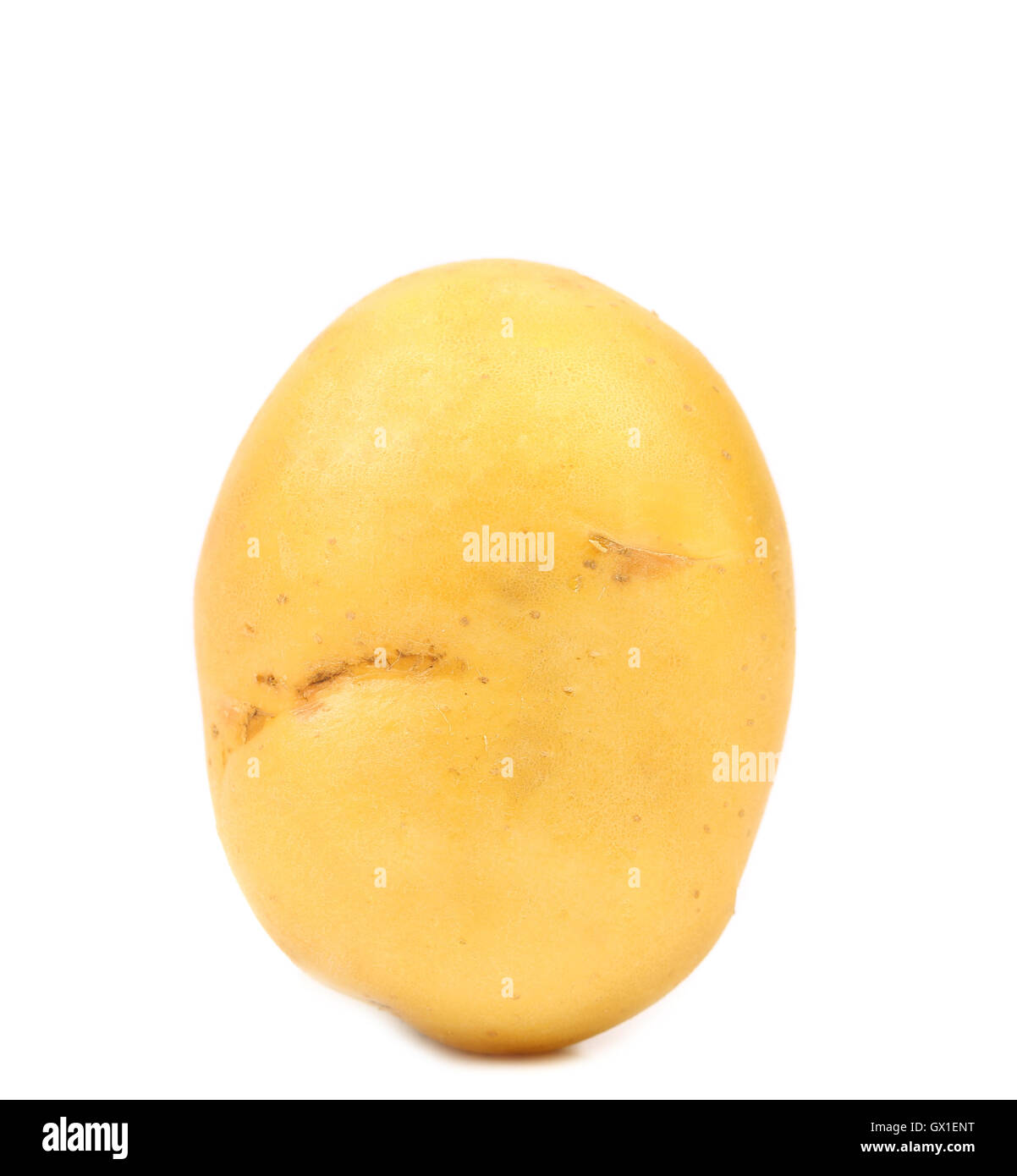 potato isolated Stock Photo