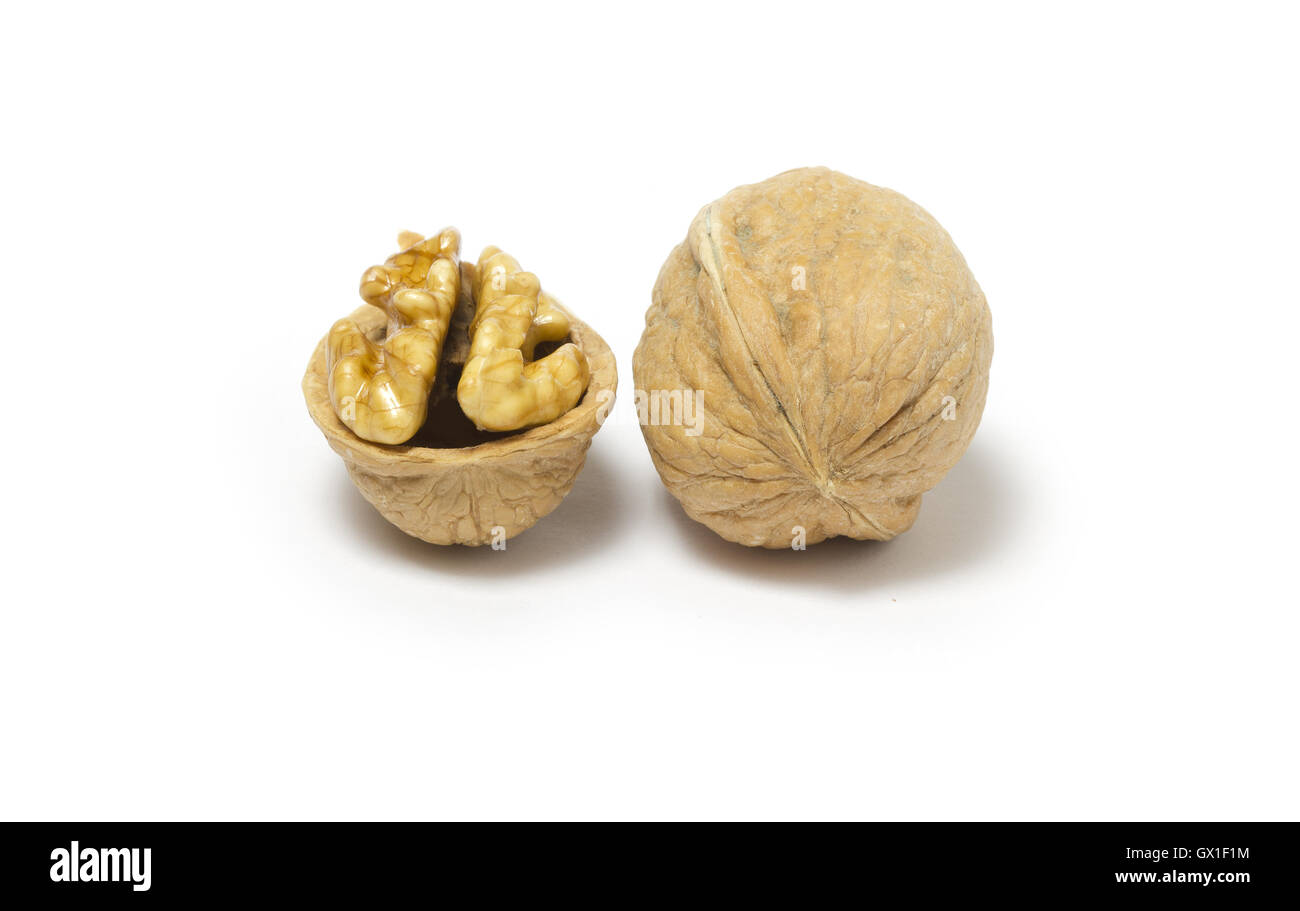 Two walnuts Stock Photo
