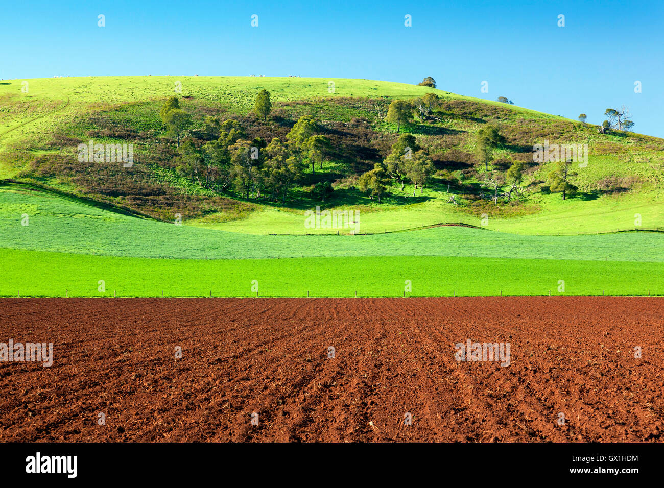 A ploughed field in front of green pasture and blue sky Stock Photo