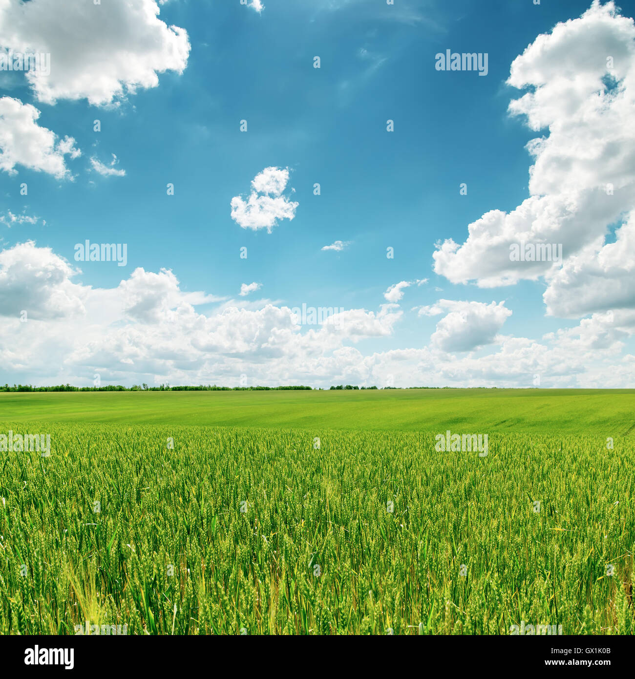 green field and blue cloudy sky Stock Photo - Alamy