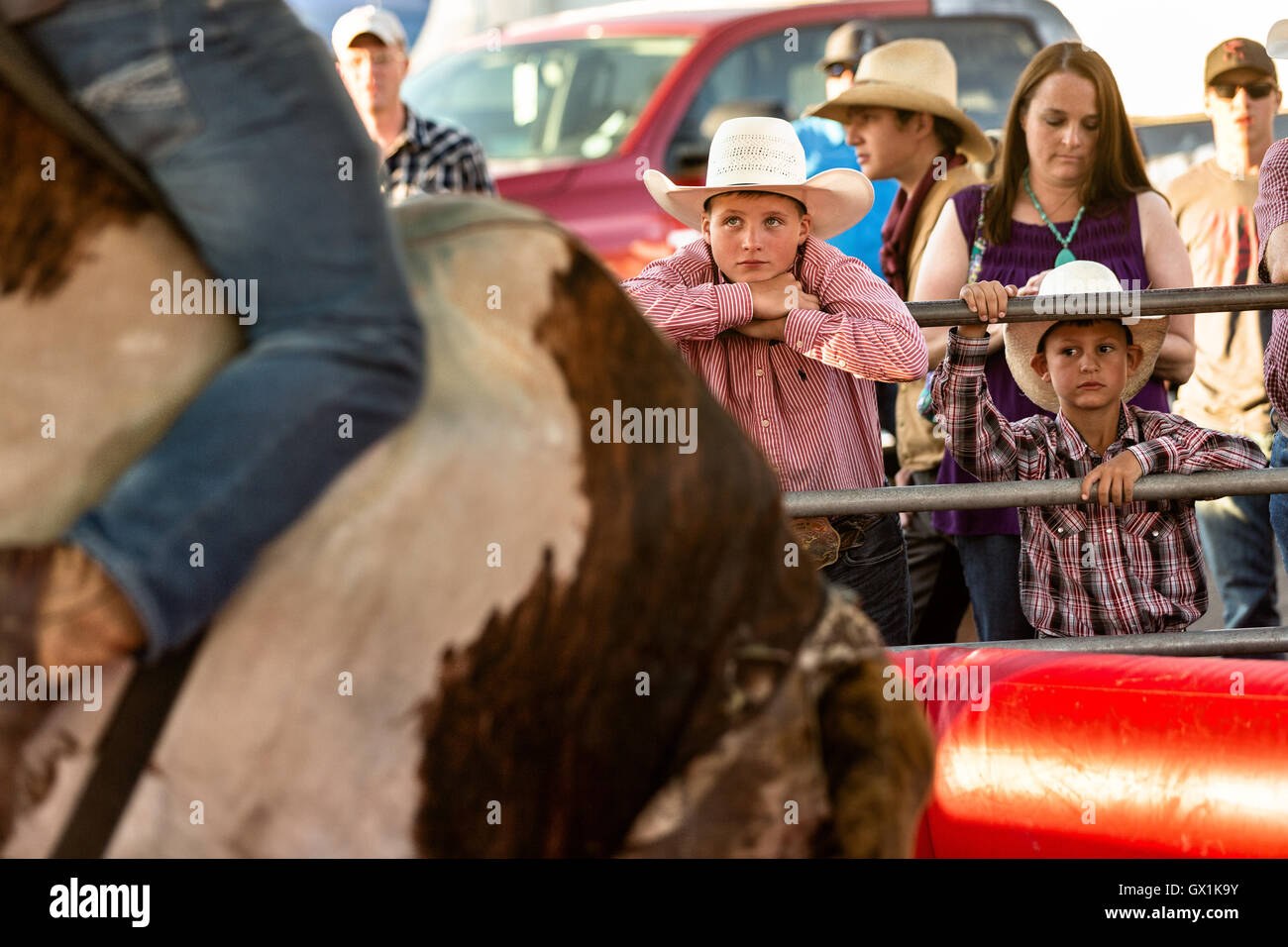 Young cowboys watch a rider on a mechanical bull at Cheyenne Frontier Days July 25, 2015 in Cheyenne, Wyoming. Frontier Days celebrates the cowboy traditions of the west with a rodeo, parade and fair. Stock Photo