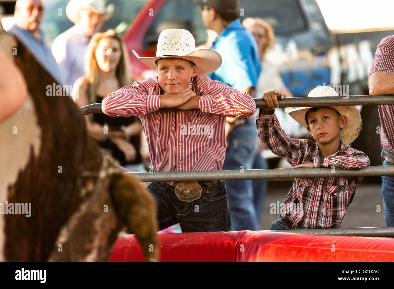 Young cowboys watch a rider on a mechanical bull at Cheyenne Frontier Days July 25, 2015 in Cheyenne, Wyoming. Frontier Days celebrates the cowboy traditions of the west with a rodeo, parade and fair. Stock Photo