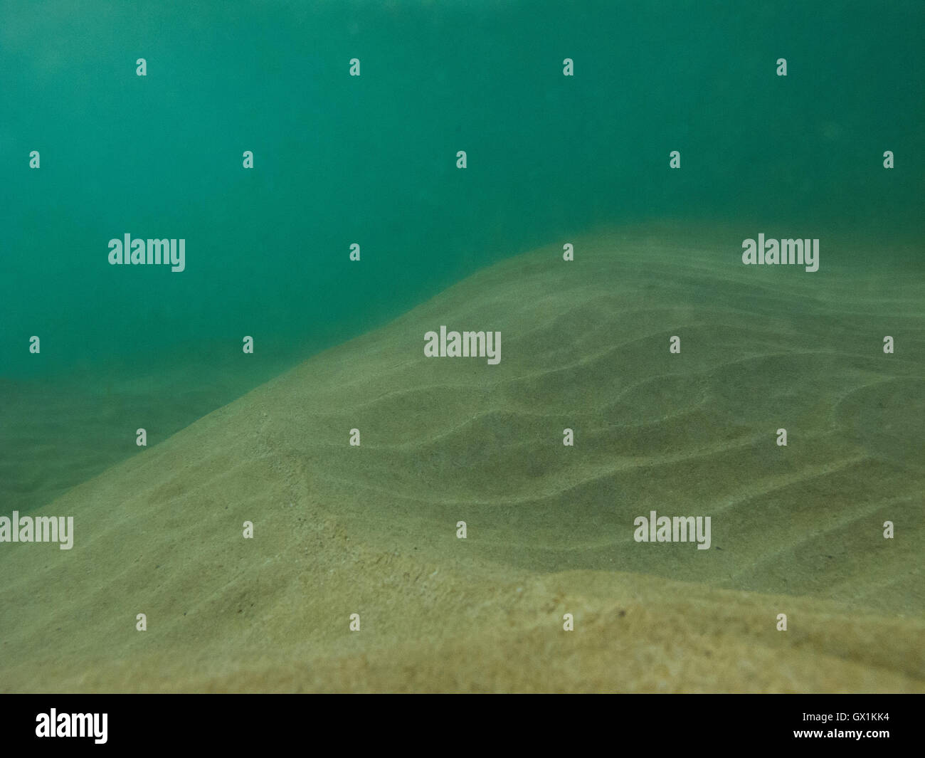 Under bottom hi-res stock photography and images - Alamy