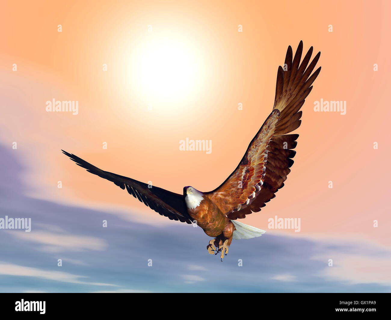 Eagle by sunset - 3D render Stock Photo