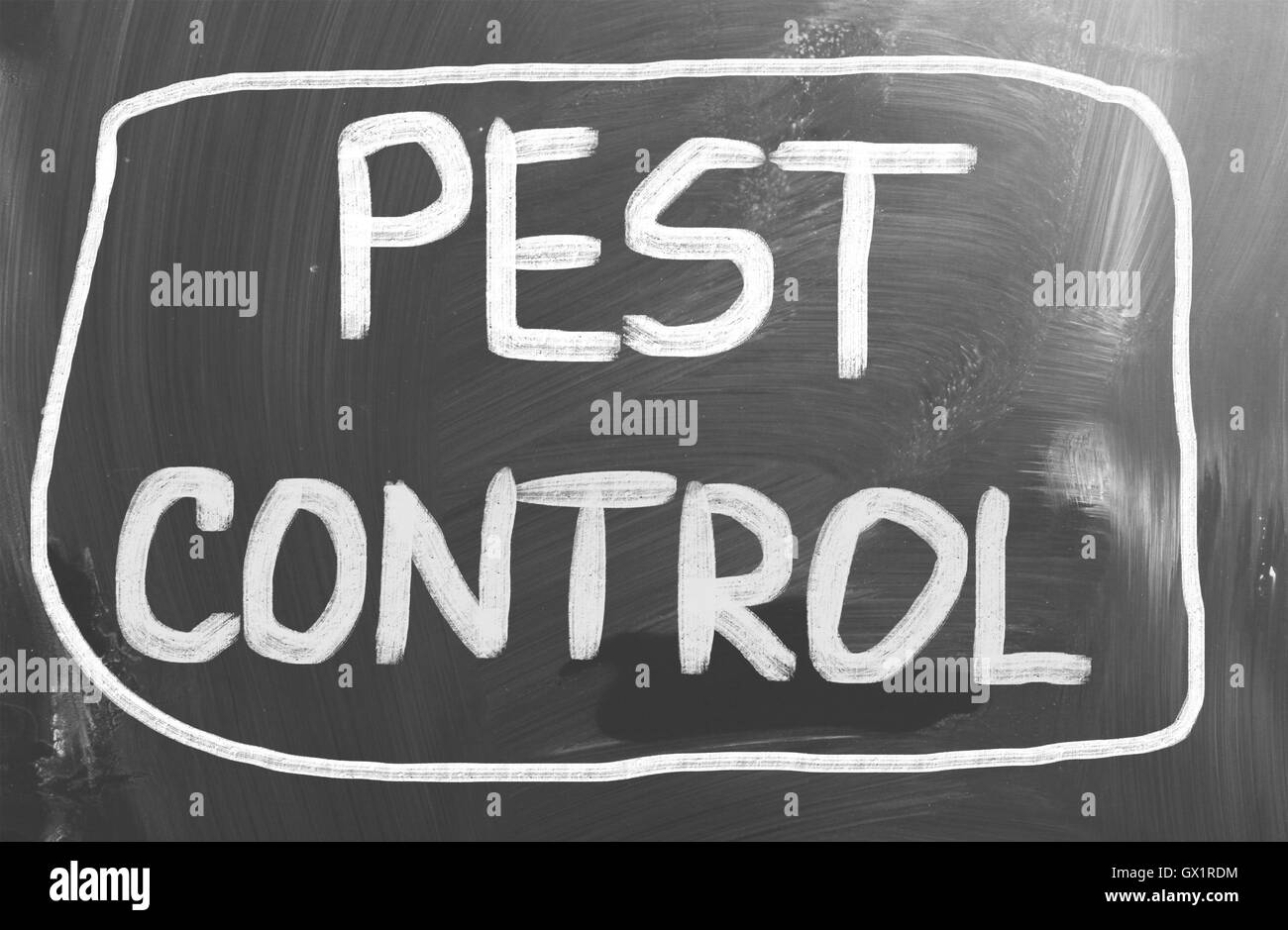 Pest Control Concept Stock Photo