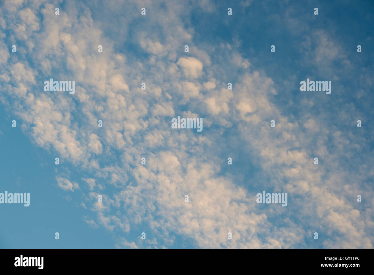 Early morning clouds at sunrise against a blue sky. UK Stock Photo