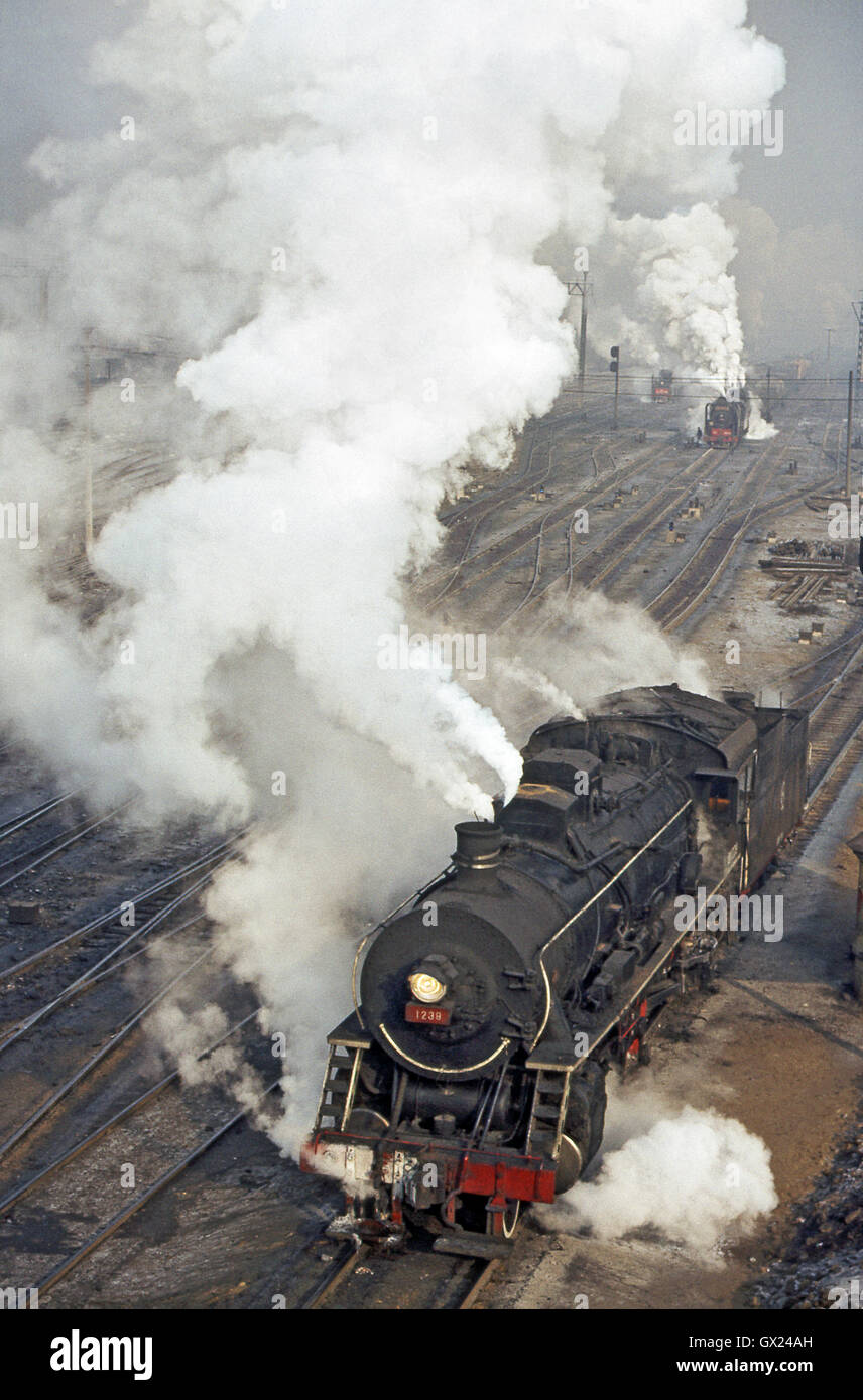 A China Railways JF Class 2-8-2 No. 1238 on general man oeuvres and hump-shunting duty at Sankong, January 1987. Stock Photo