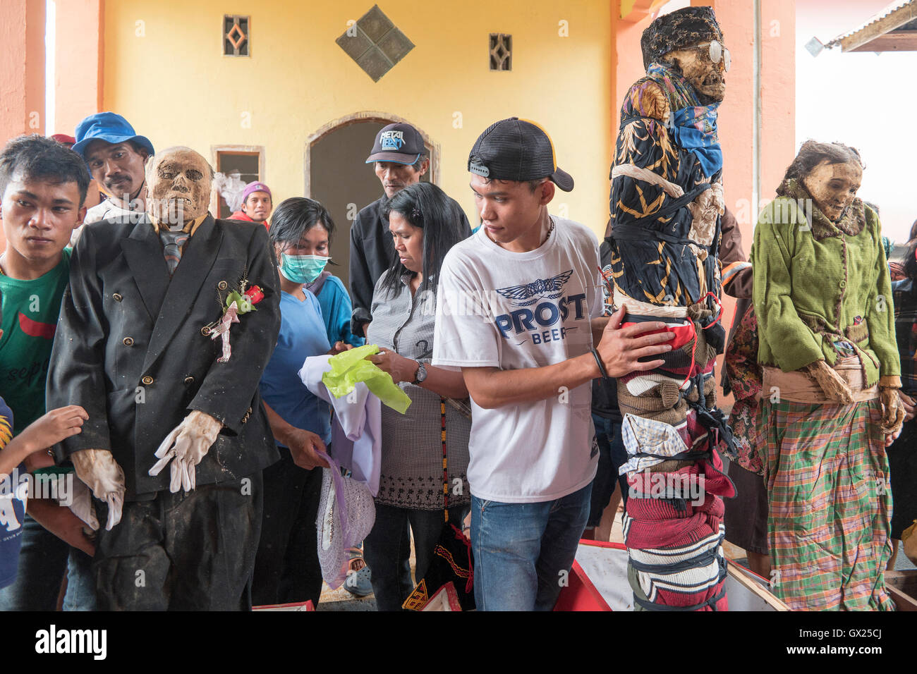 The dead body to bring up dead by the relatives to clean off their corpses during Bizzare Ma'Nene rituals in North Toraja. Stock Photo