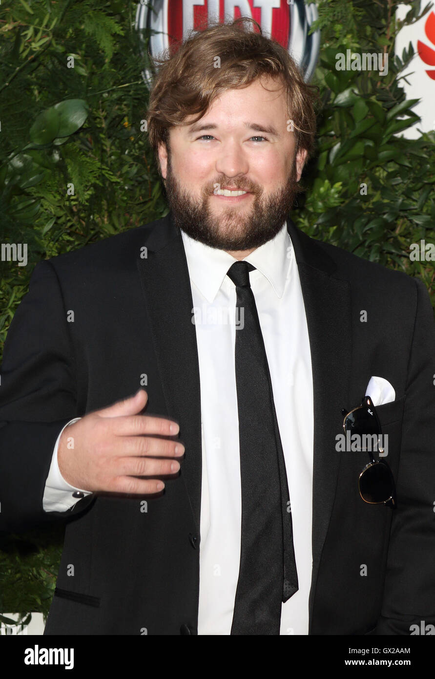 Haley joel osment dog secondhand hi-res stock photography and images - Alamy