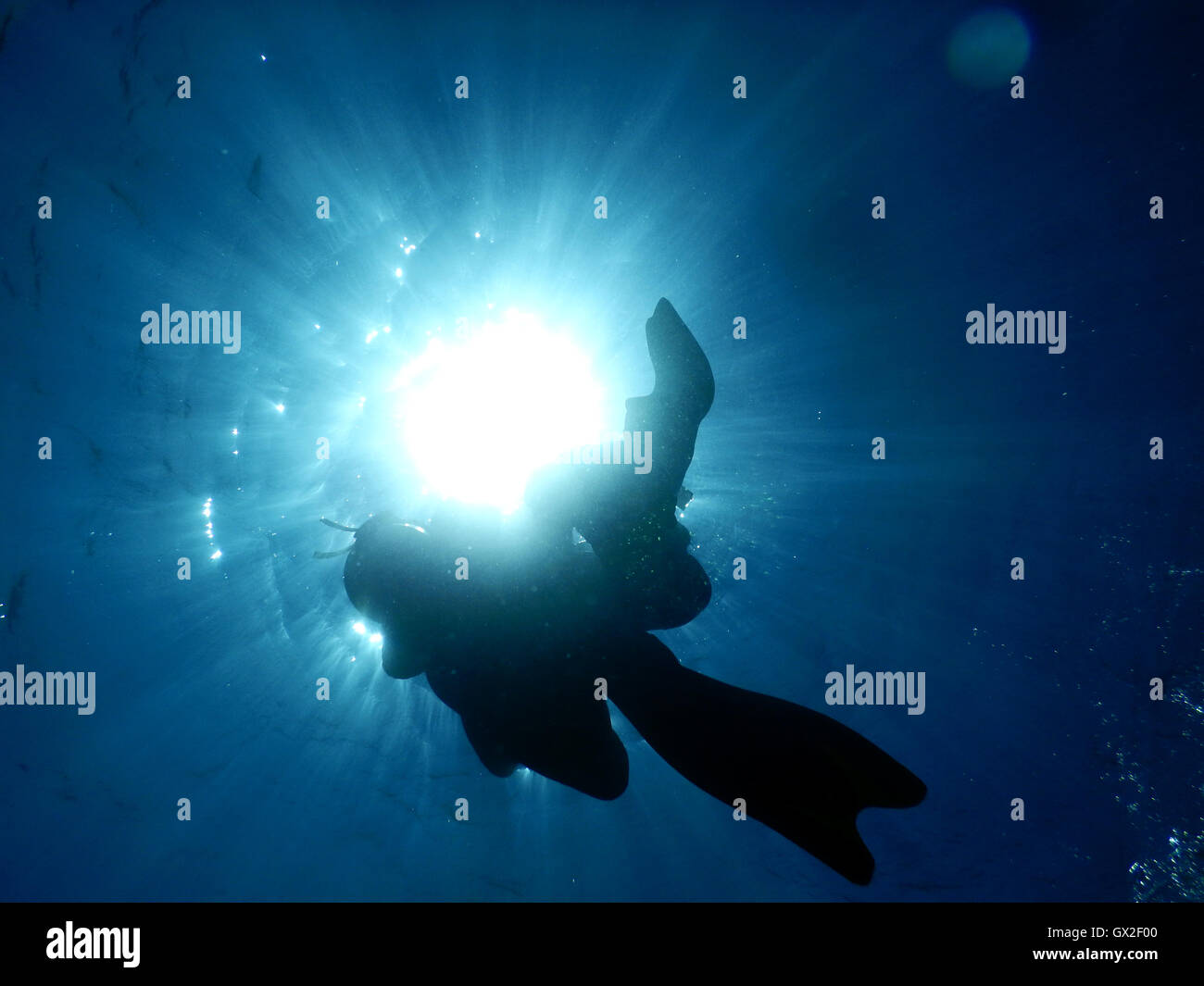 Diving in the crystal clear water of Mediterranean. Underwater photos