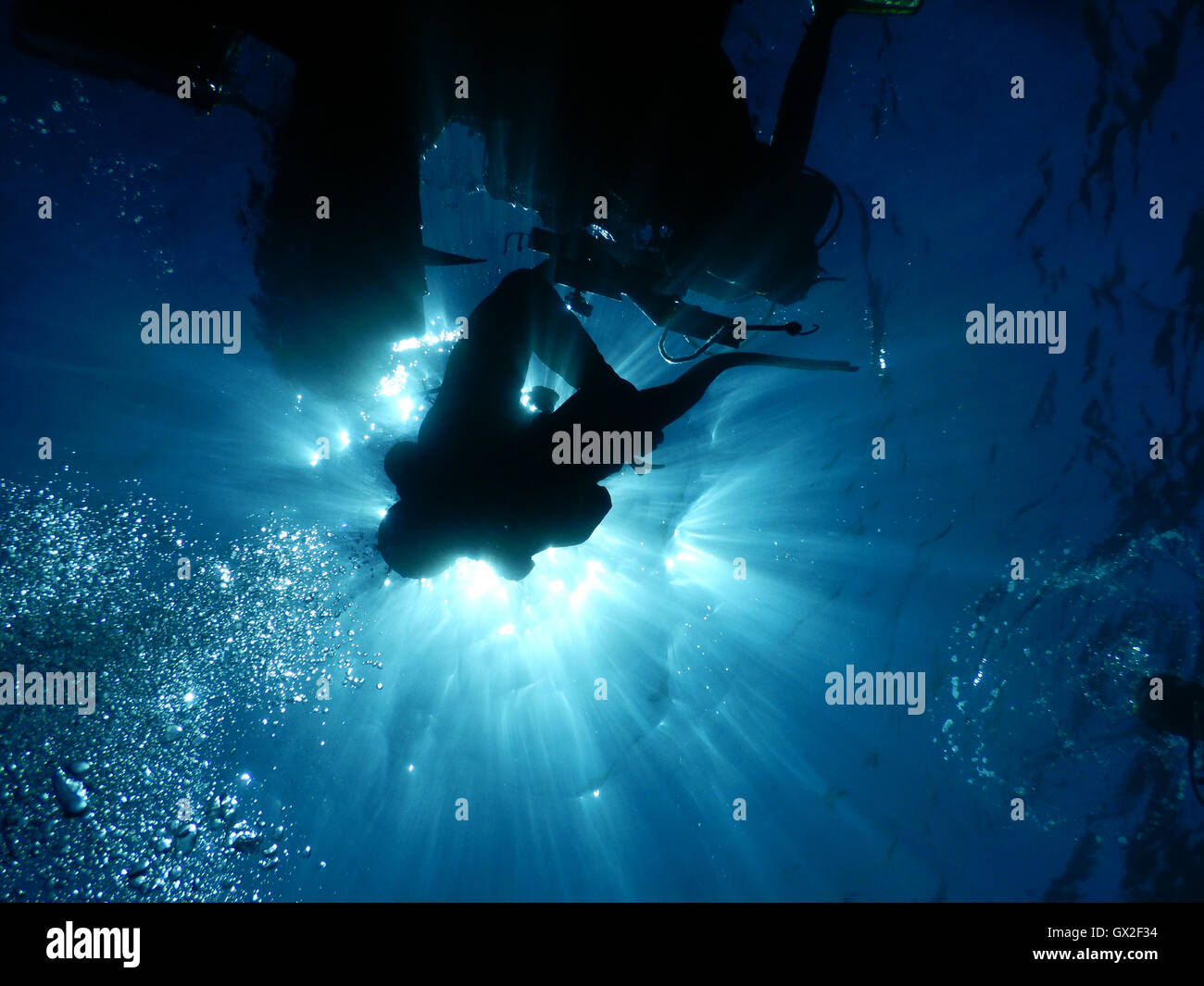 Diving in the crystal clear water of Mediterranean. Underwater photos