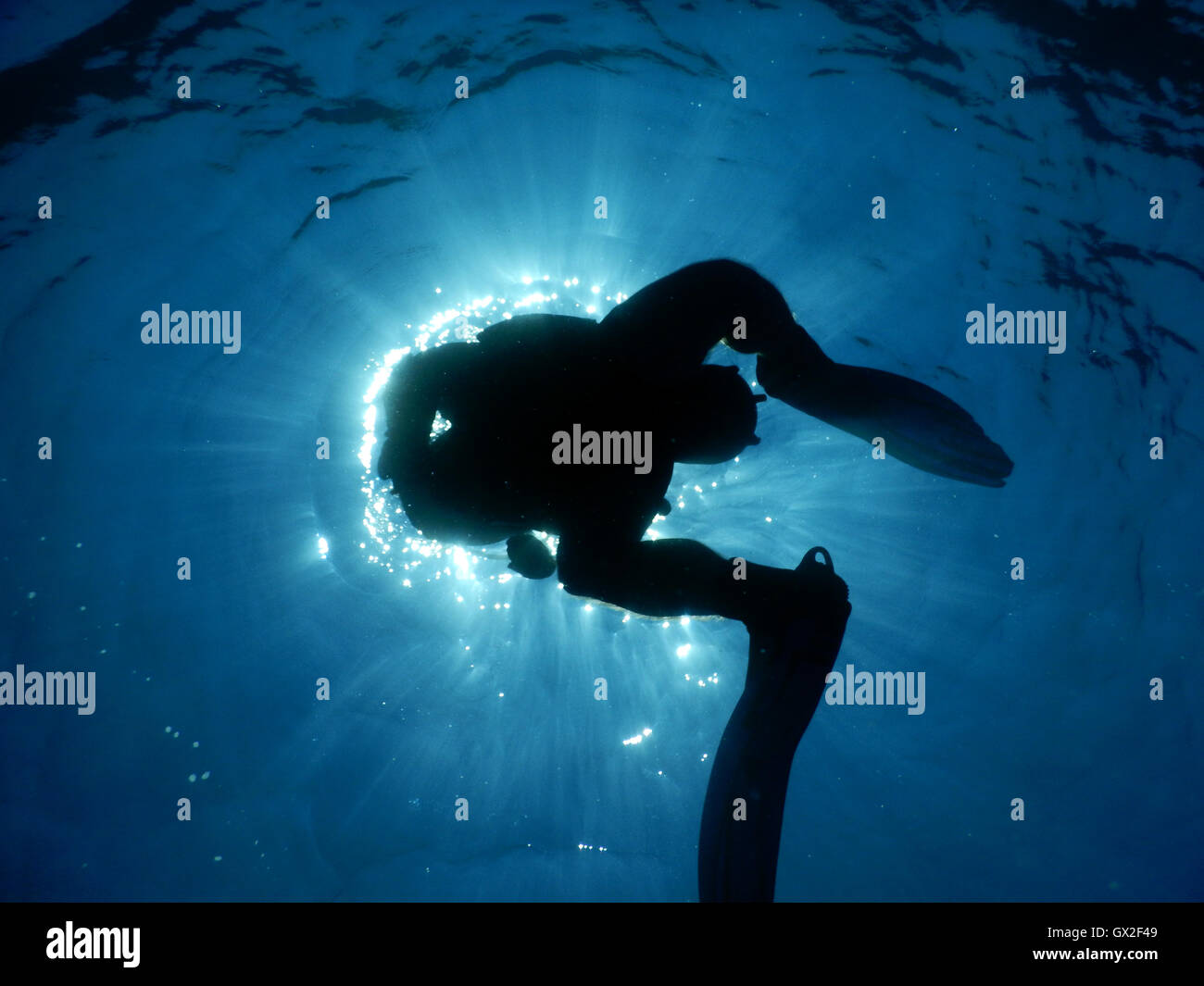 Diving in the crystal clear water of Mediterranean. Underwater photos