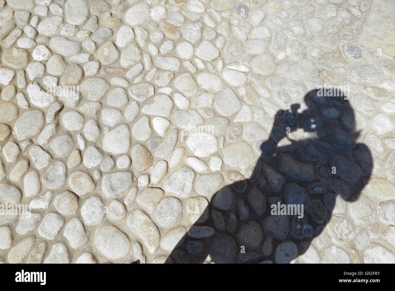shadow on the ground of a woman who is taking photographs Stock Photo ...