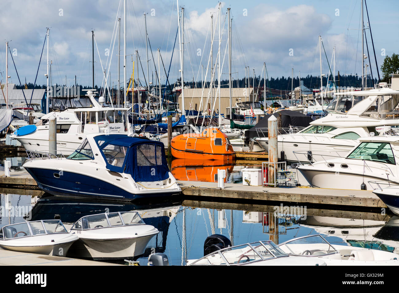 Luxury boats in marina with reflections in calm blue water Stock Photo