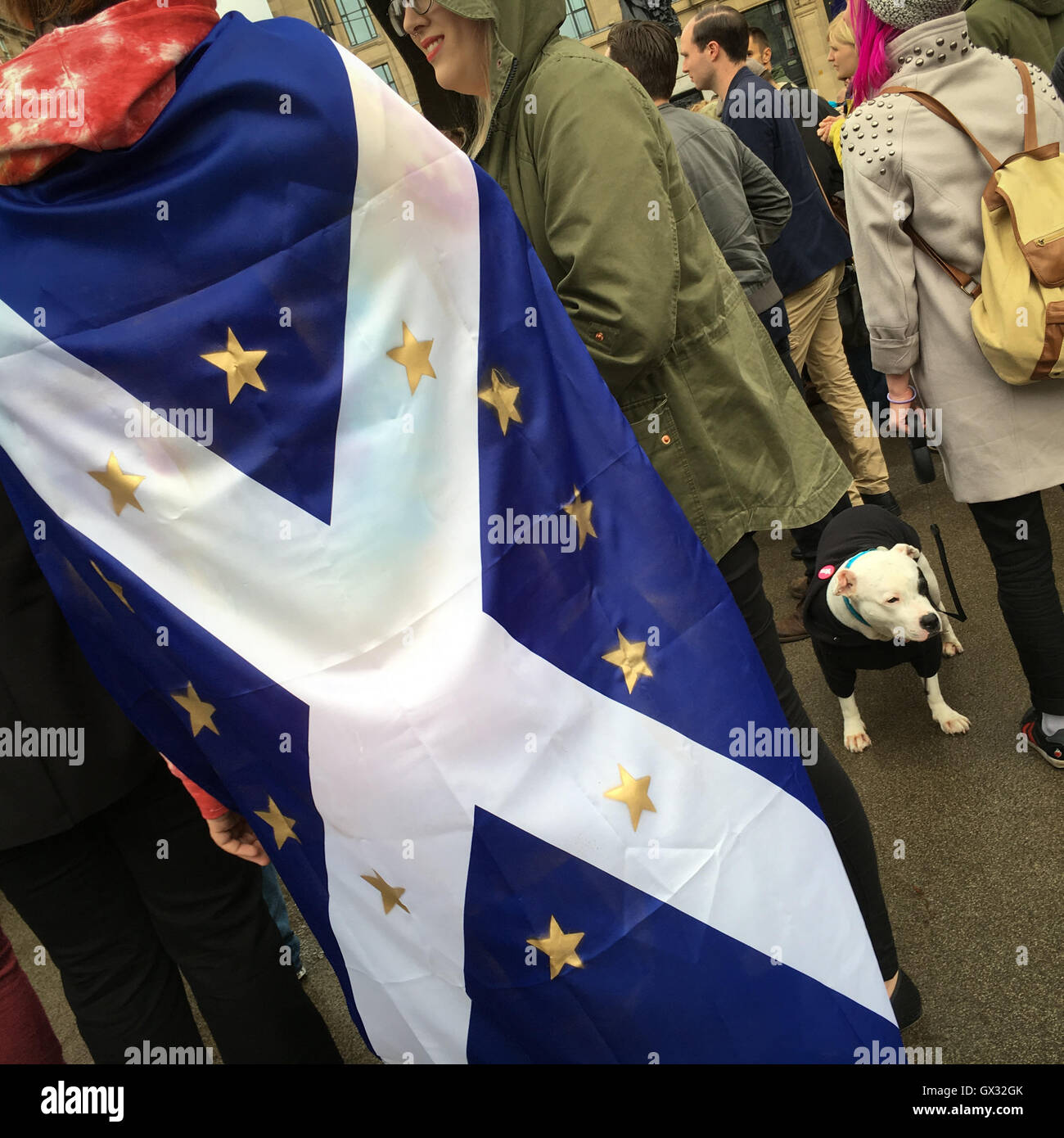 EU Referendum rally in George Square, in Glasgow, Scotland, on 29 June 2016. Stock Photo