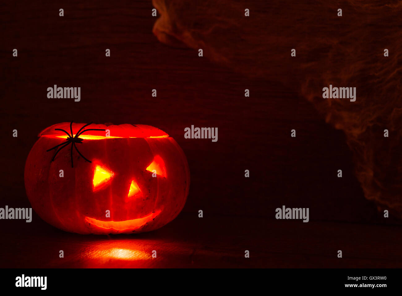 Halloween Pumpkin In A Mystic Forest At Night Stock Photo - Alamy