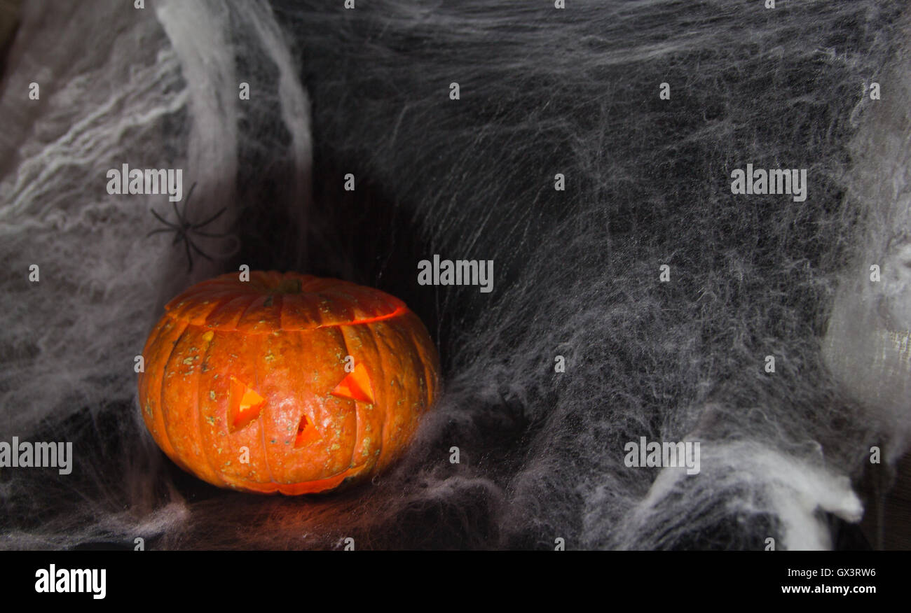 Halloween Pumpkin In A Mystic Forest At Night Stock Photo - Alamy