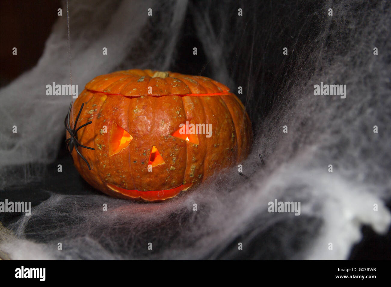 Halloween Pumpkin In A Mystic Forest At Night Stock Photo - Alamy