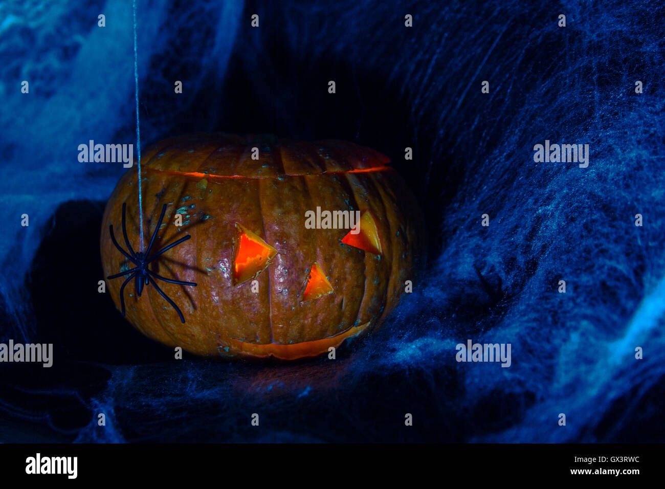 Halloween Pumpkin In A Mystic Forest At Night Stock Photo - Alamy