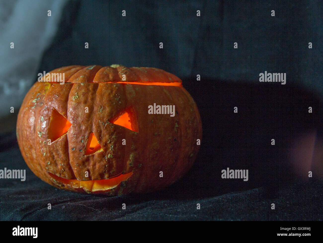Halloween Pumpkin In A Mystic Forest At Night Stock Photo - Alamy