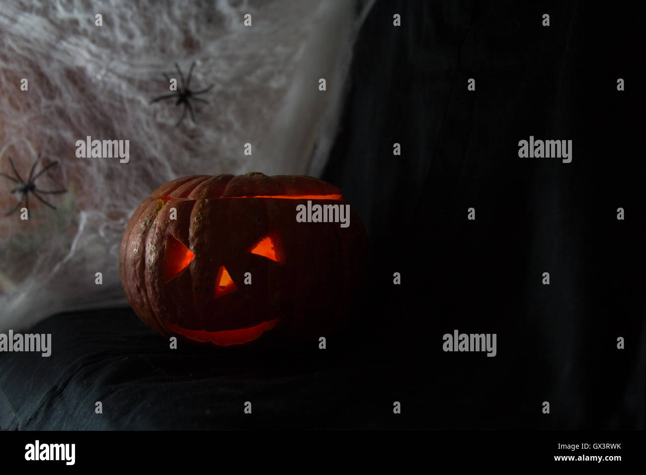 Halloween Pumpkin In A Mystic Forest At Night Stock Photo - Alamy