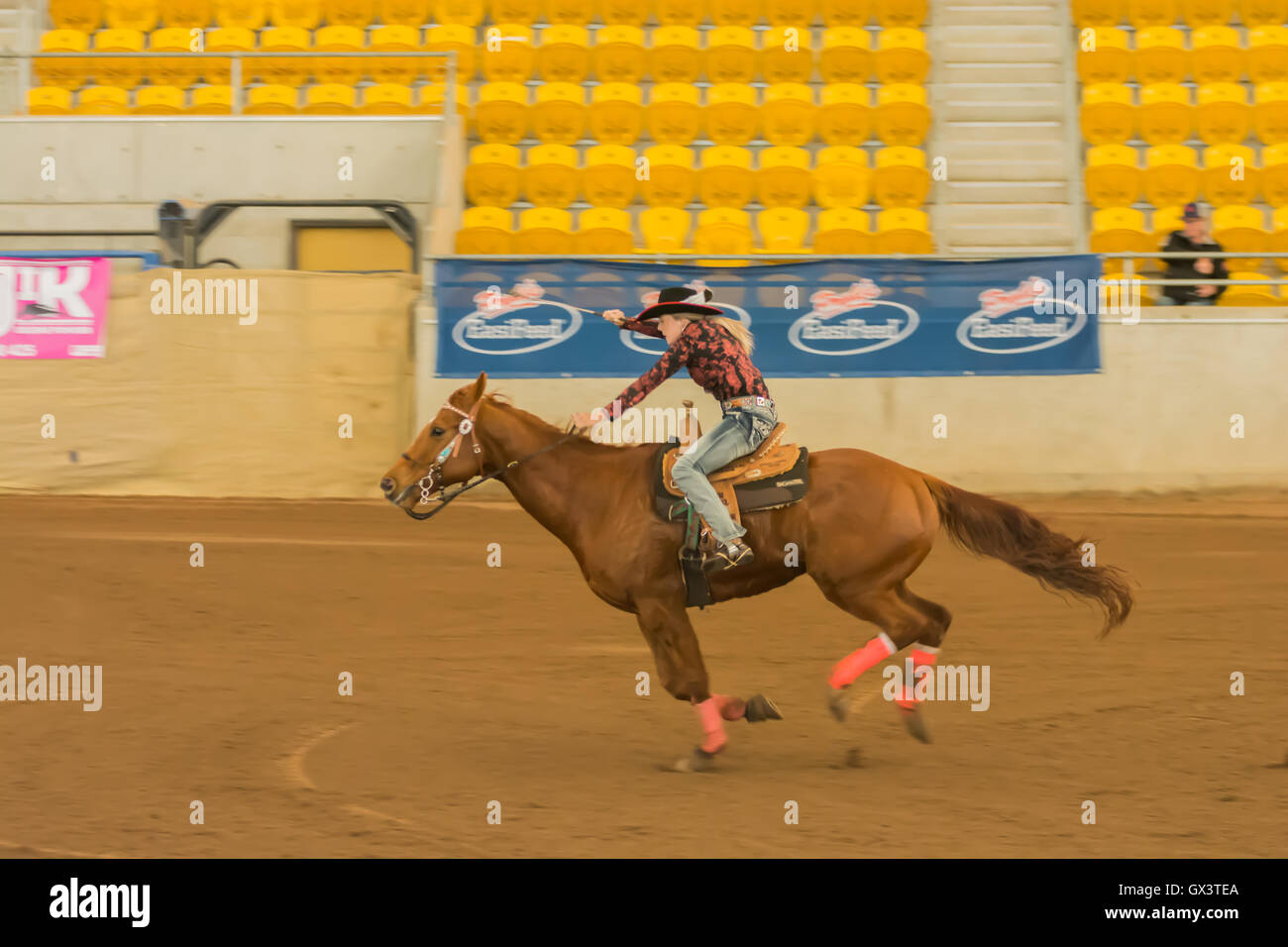 Cowgirl on a Chestnut Horse Barrel Racing at an Indoor Arena, Tamworth.Australia Stock Photo