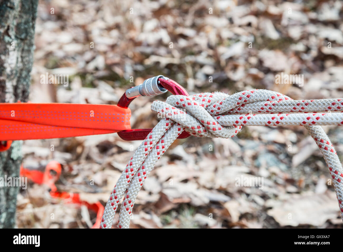 Climbing Knot on Rope with Caribiner Stock Photo Alamy