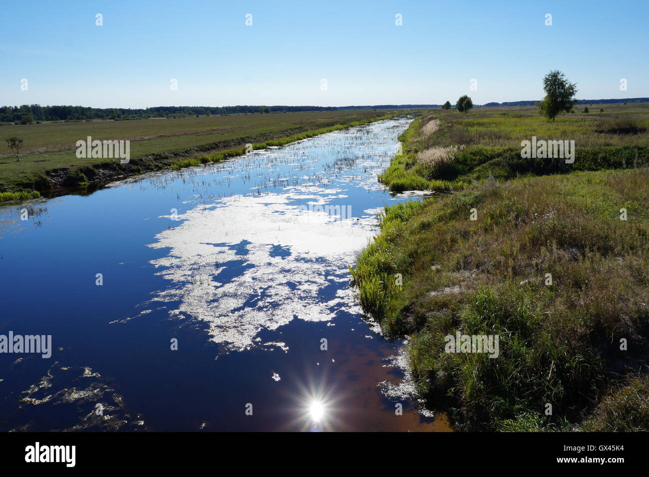 landscape with mountains trees and a river in front Stock Photo - Alamy