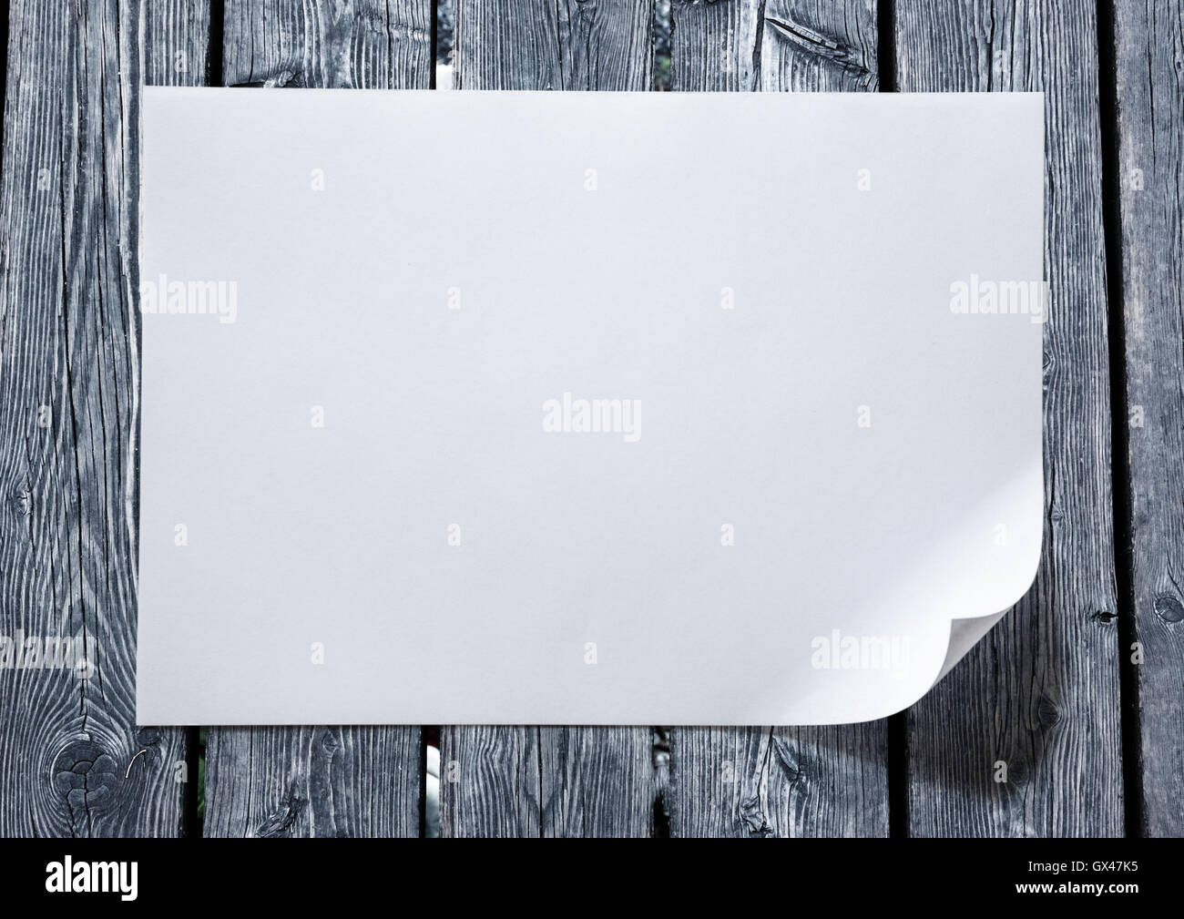 Blank sheet of paper as white background Stock Photo