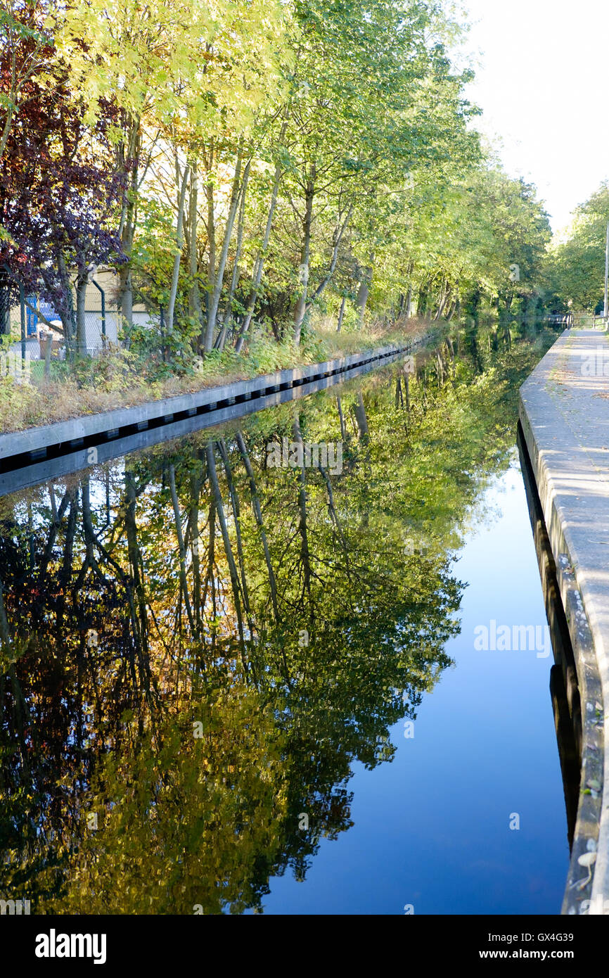 Reflections of autrum trees in the Ripon Canal near Ripon North Yorkshire, England Stock Photo