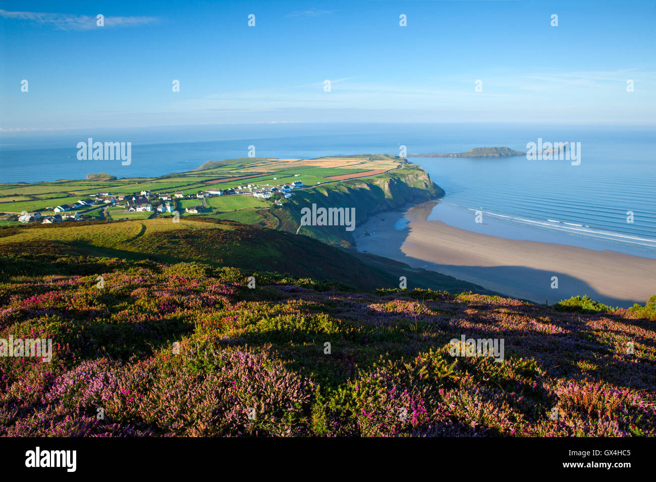 Worm's Head, Gower, as seen from the top of the heather covered Rhossili Downs, summertime. Stock Photo