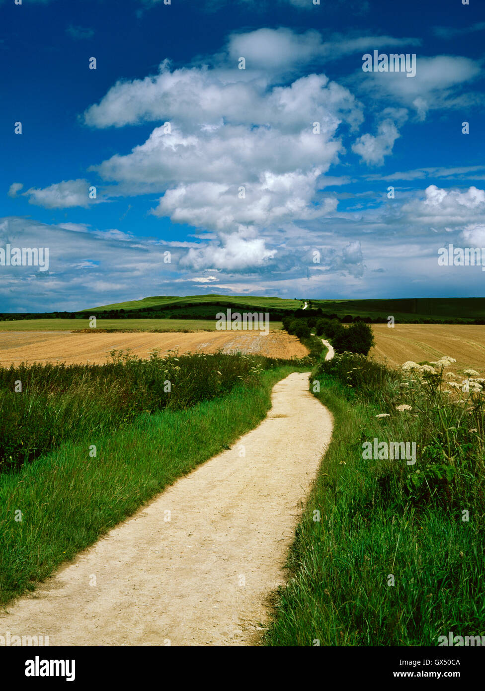 The Ridgeway long distance path approaching Uffington Castle hillfort on Whitehorse Hill in the North Wessex Downs AONB. Stock Photo